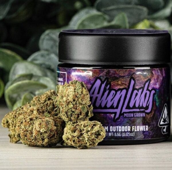 Koop Baklava Strain