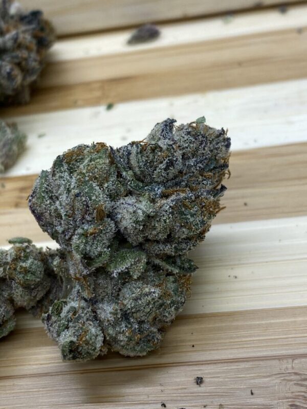 Koop Baklava Strain