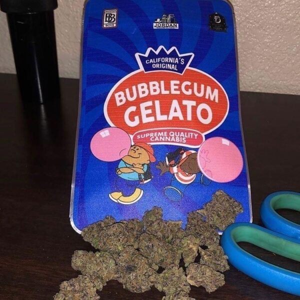Koop Bubblegum Gelato