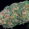 Koop Big Buddha Cheese