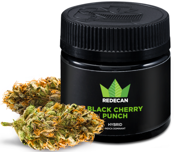 Koop Black Cherry Punch