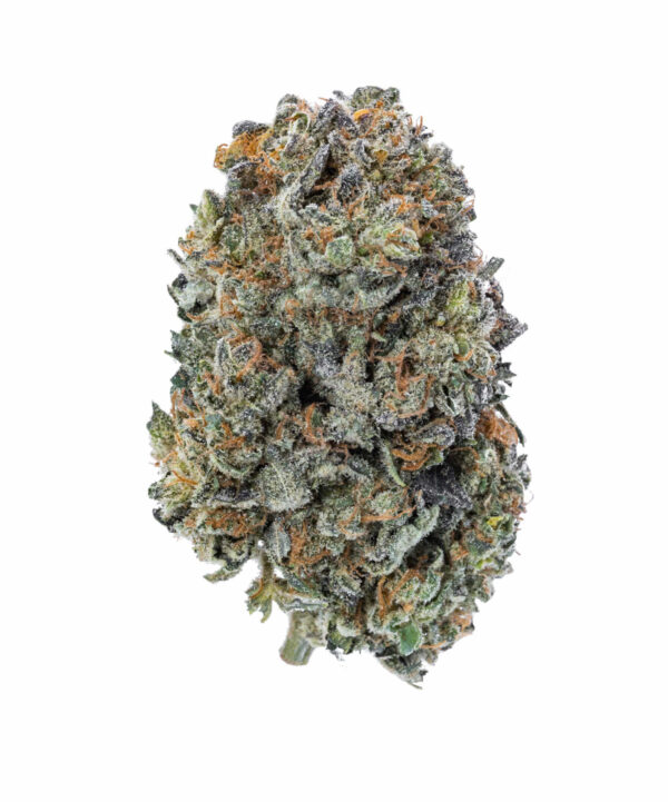 Koop Aurora Indica Marijuana