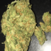 Koop Asian Fantasy marijuana