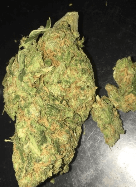 Koop Asian Fantasy marijuana