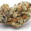 Koop Birthday Cake Kush