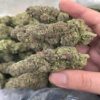 Koop Dream Berry marijuana