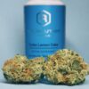 Koop Lemon Cake marijuana